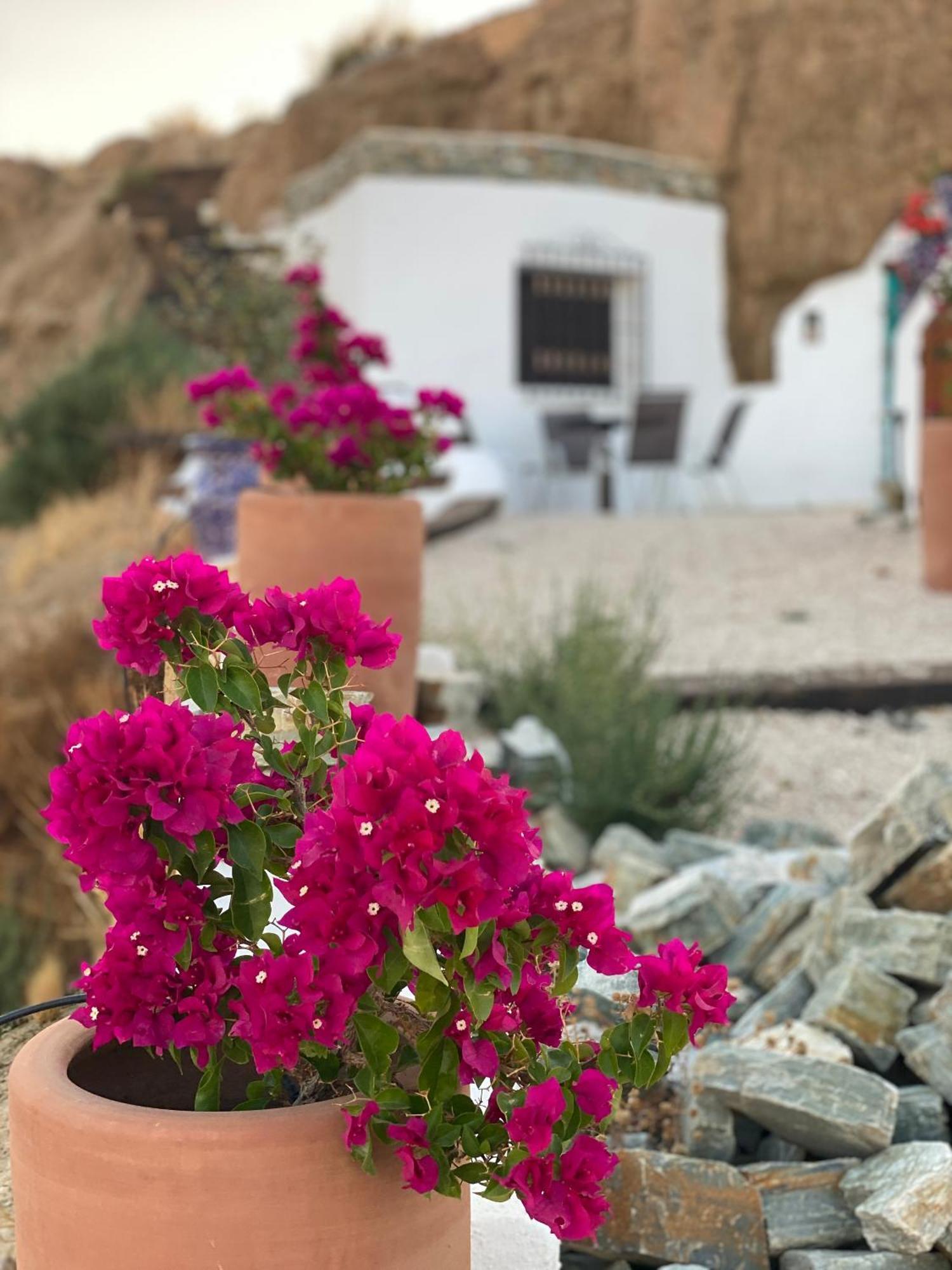 הוילה גואדיקס Cuevas Oro Y Arcilla מראה חיצוני תמונה